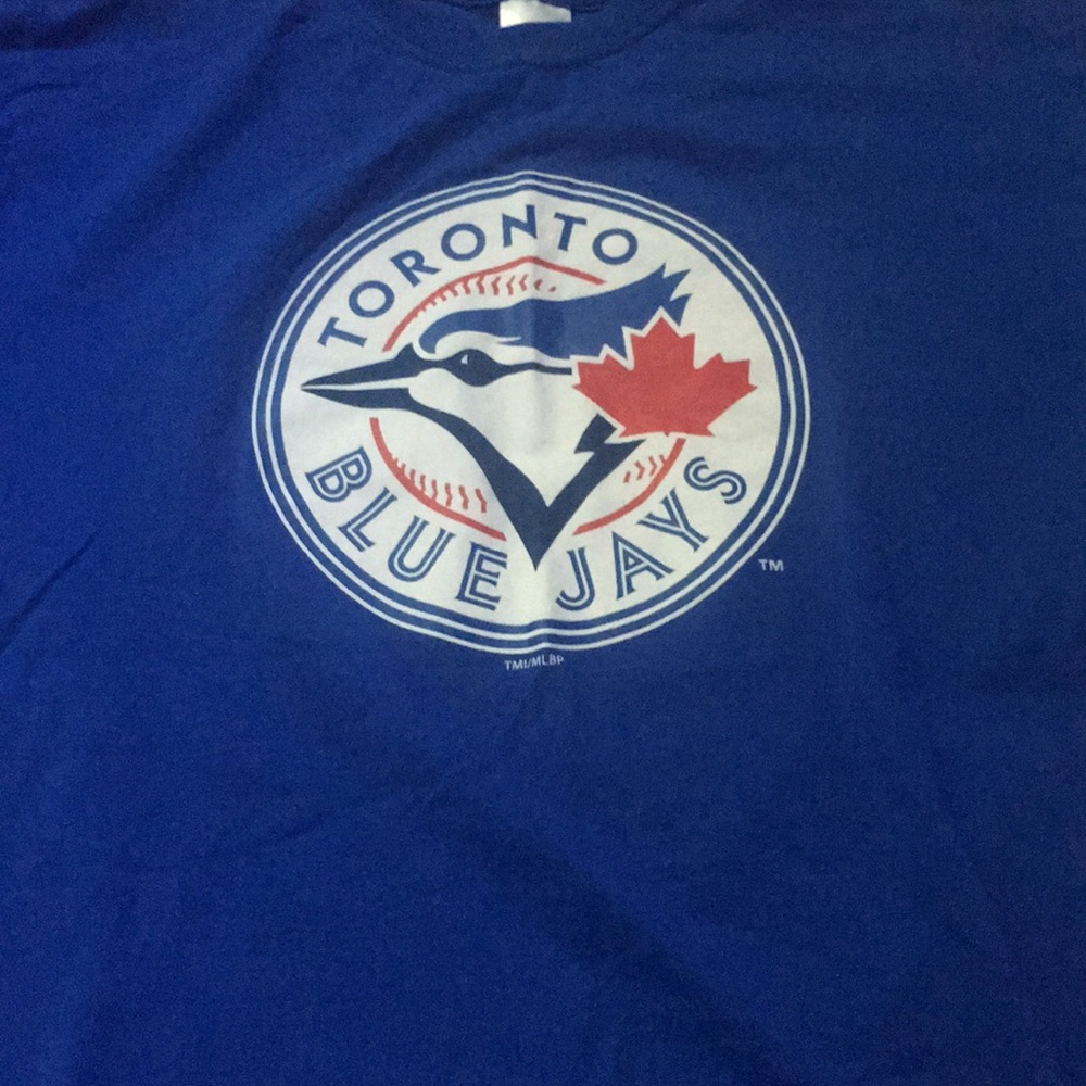 Toronto Blue Jays Team Color T-Shirt